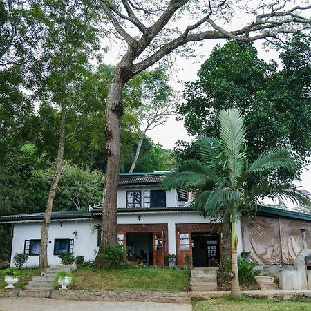 Welikande Yoga Retreats Hotel Digana Buitenkant foto