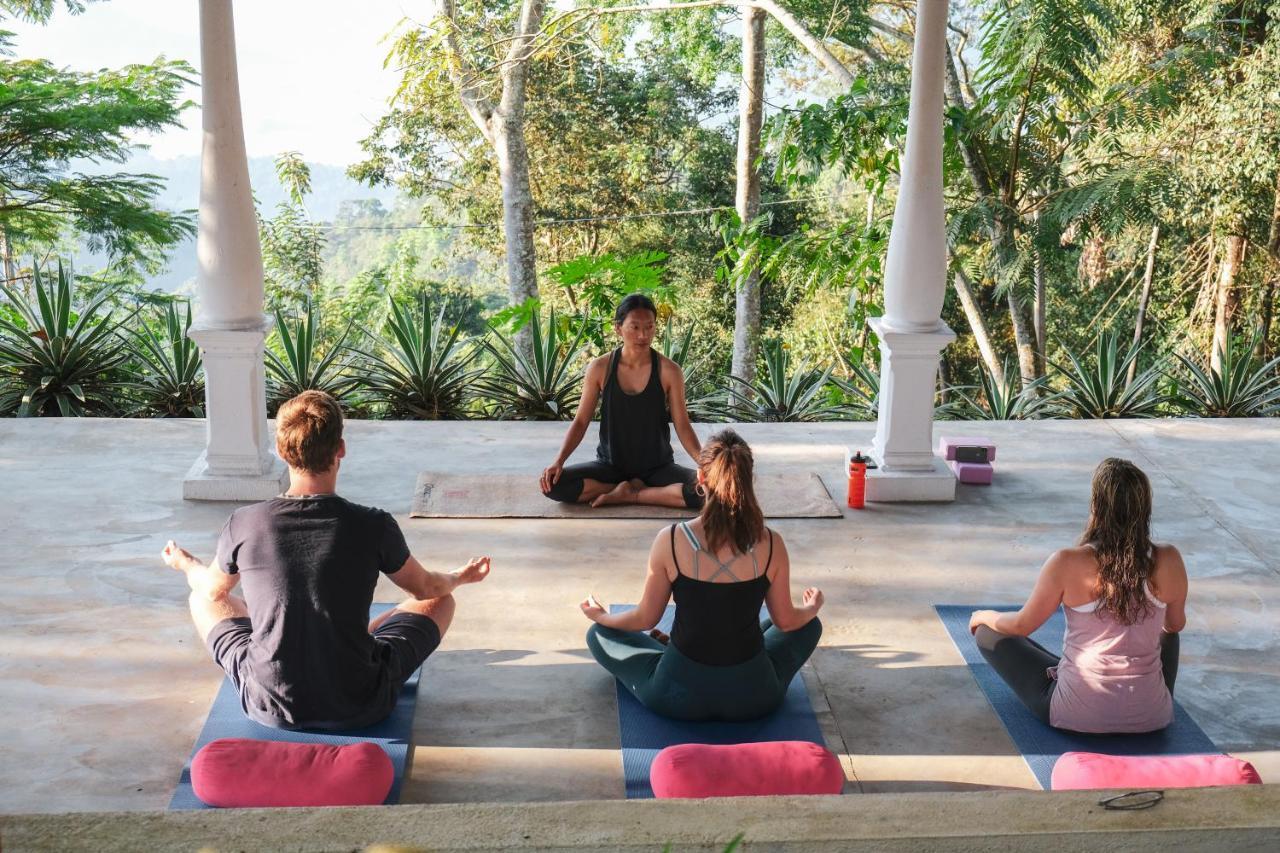 Welikande Yoga Retreats Hotel Digana Buitenkant foto
