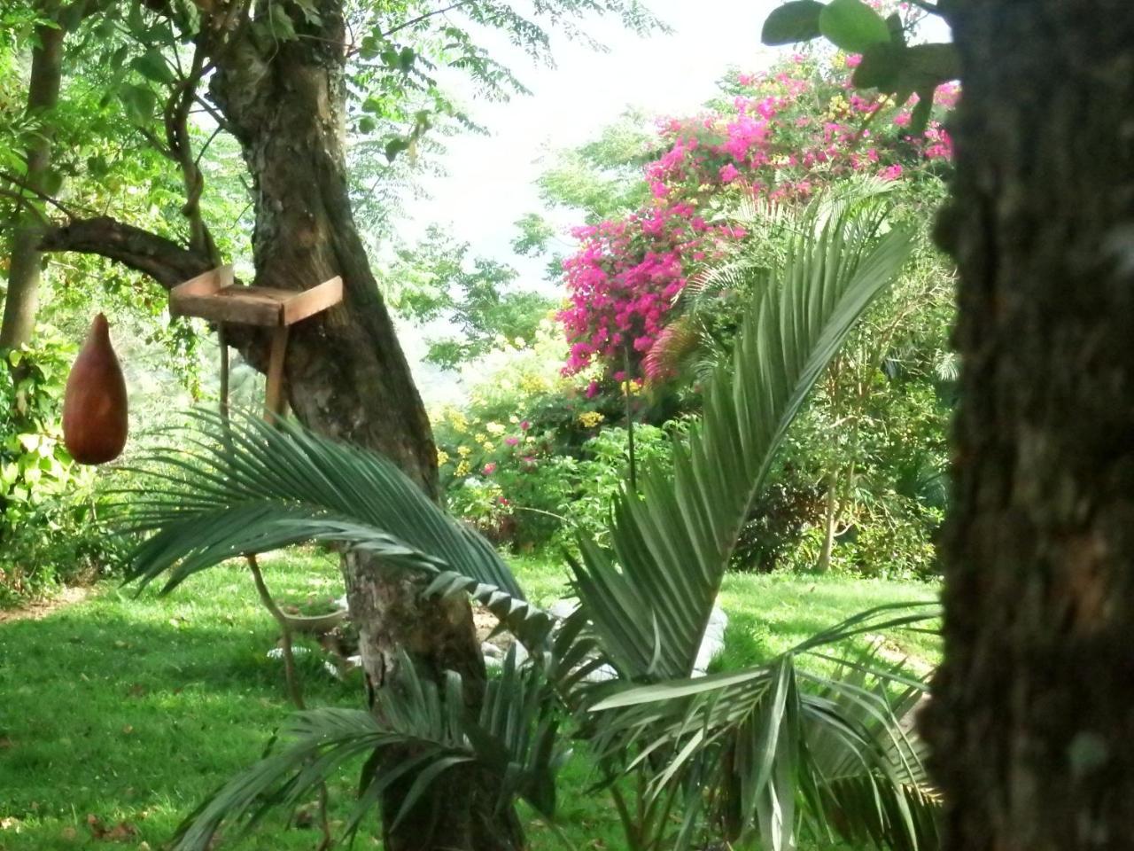 Welikande Yoga Retreats Hotel Digana Buitenkant foto